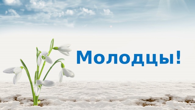 Молодцы! 