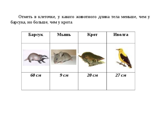 Отметь животных. Длина тела животного. У каких животных длина тела больше чем у трески. Какого животного. Мышь и Крот какие животные 1 класс.