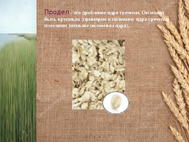 Продел  - это дробленое ядро гречихи. Он может быть крупным (примерно в половину ядра гречихи) и мелким (меньше половины ядра).  