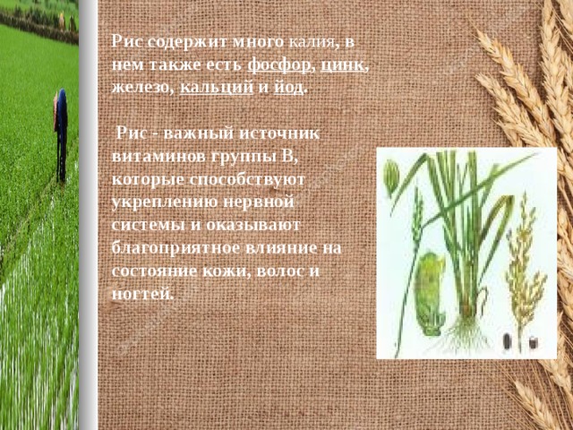 Рис содержит много калия , в нем также есть фосфор , цинк , железо, кальций и йод .   Рис - важный источник витаминов группы В, которые способствуют укреплению нервной системы и оказывают благоприятное влияние на состояние кожи, волос и ногтей.    