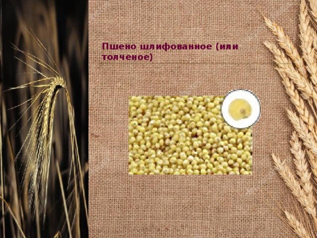 Пшено шлифованное (или толченое)  