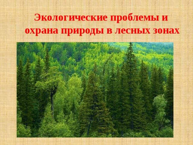 Зона лесов 4 класс окружающий мир. Охрана природы в лесных зонах. Экологические проблемы и охрана природы. Экологические проблемы и охрана природы в лесных зонах. Охрана Лесной зоны.