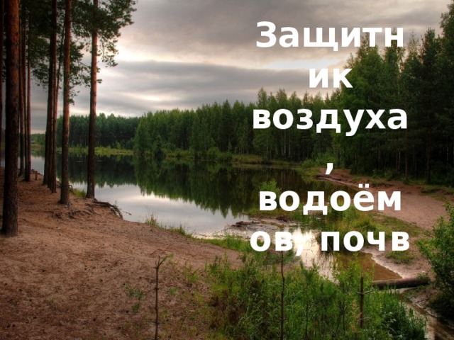 Лес защитник воздуха водоемов