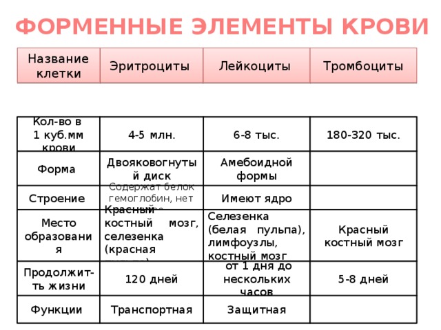 Сколько признаки дней. Форменные элементы крови таблица лейкоциты. Элементы эритроциты лейкоциты тромбоциты таблица. Таблица форменные элементы эритроциты лейкоциты тромбоциты. Форменные элементы крови эритроциты лейкоциты тромбоциты.