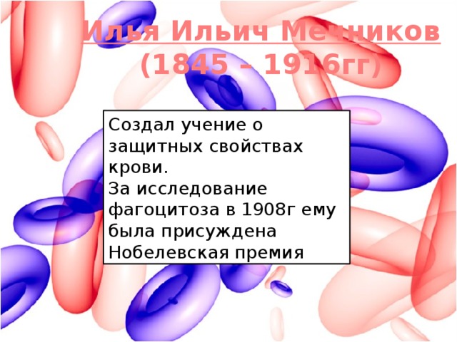 Илья Ильич Мечников (1845 – 1916гг) Создал учение о защитных свойствах крови. За исследование фагоцитоза в 1908г ему была присуждена Нобелевская премия