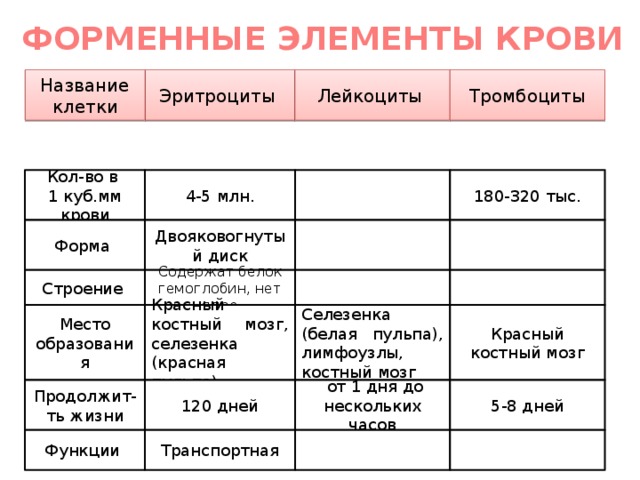 ФОРМЕННЫЕ ЭЛЕМЕНТЫ КРОВИ Эритроциты Лейкоциты Название клетки Тромбоциты Кол-во в 180-320 тыс. 4-5 млн. 1 куб.мм крови Двояковогнутый диск Форма Содержат белок гемоглобин, нет ядра Строение Красный костный мозг, селезенка (красная пульпа) Селезенка (белая пульпа), лимфоузлы, костный мозг Место образования Красный костный мозг 120 дней  от 1 дня до нескольких часов Продолжит-ть жизни 5-8 дней Транспортная Функции