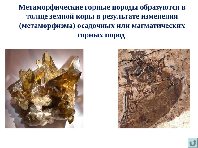 Метаморфические горные породы образуются в толще земной коры в результате изменения (метаморфизма) осадочных или магматических горных пород  