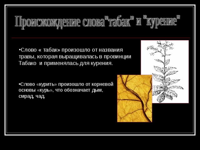 Слово « табак» произошло от названия травы, которая выращивалась в провинции Табако и применялась для курения. Слово «курить» произошло от корневой основы «курь», что обозначает дым, смрад, чад.