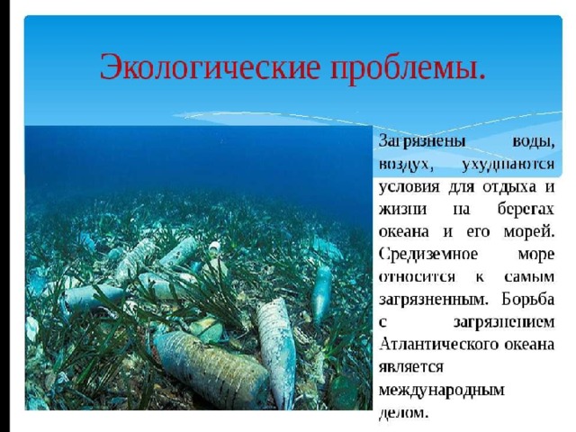 Загрязнение мирового океана - виды, причины и источники опасности