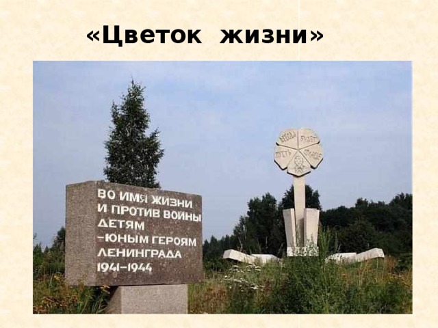 «Цветок жизни» 
