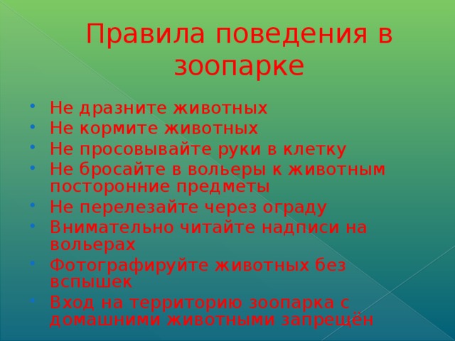 Правила поведения в зоопарке для детей в картинках