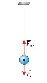 Силы действующие на подвешенный шарик