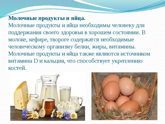 Презентация яйца и яичные продукты товароведение