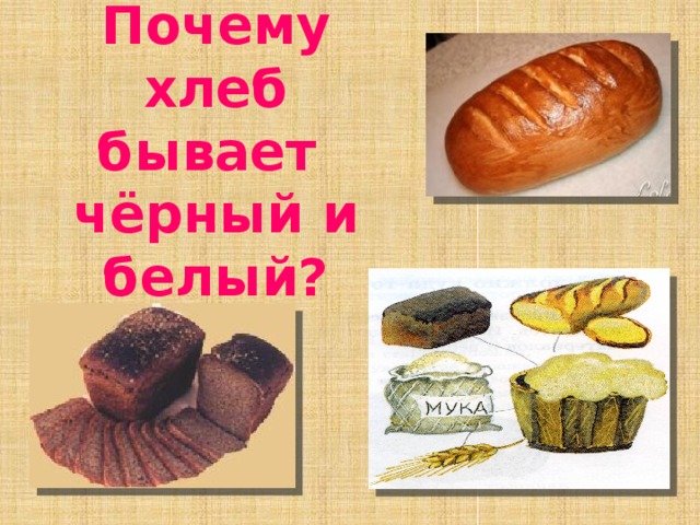 Почему хлеб бывает  чёрный и белый?   