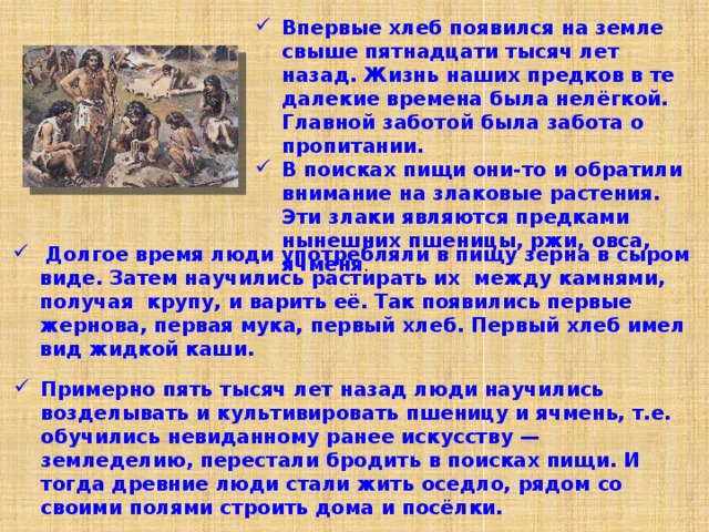 Впервые хлеб появился на земле свыше пятнадцати тысяч лет назад. Жизнь наших предков в те далекие времена была нелёгкой. Главной заботой была забота о пропитании. В поисках пищи они-то и обратили внимание на злаковые растения. Эти злаки являются предками нынешних пшеницы, ржи, овса, ячменя .  Долгое время люди употребляли в пищу зерна в сыром виде. Затем научились растирать их между камнями, получая крупу, и варить её. Так появились первые жернова, первая мука, первый хлеб. Первый хлеб имел вид жидкой каши. Примерно пять тысяч лет назад люди научились возделывать и культивировать пшеницу и ячмень, т.е. обучились невиданному ранее искусству — земледелию, перестали бродить в поисках пищи. И тогда древние люди стали жить оседло, рядом со своими полями строить дома и посёлки. 