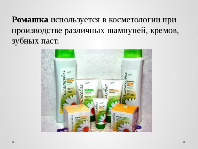 Ромашка используется в косметологии при производстве различных шампуней, кремов, зубных паст.  