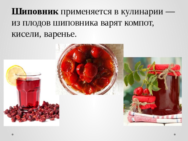 Шиповник  применяется в кулинарии — из плодов шиповника варят компот, кисели, варенье. 