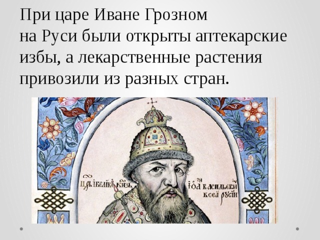 При царе Иване Грозном  на Руси были открыты аптекарские избы, а лекарственные растения привозили из разных стран. 