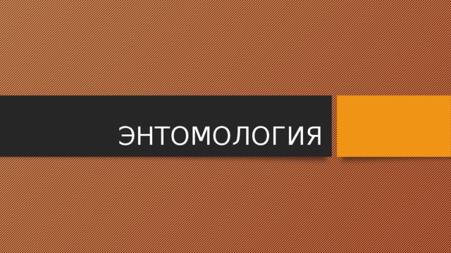 ЭНТОМОЛОГИЯ 