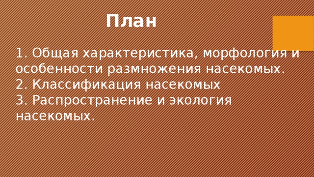 План 1. Общая характеристика, морфология и особенности размножения насекомых. 2. Классификация насекомых 3. Распространение и экология насекомых. 