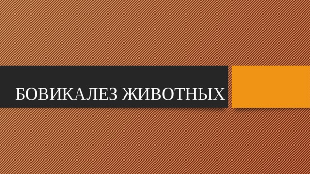 БОВИКАЛЕЗ ЖИВОТНЫХ 