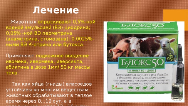 Лечение   Животных опрыскивают 0,5%-ной водной эмульсией (ВЭ) циодрина; 0,05% -ной ВЭ перметрина (анаметрина, стомозана); 0,0025%-ными ВЭ К-отрина или бутокса.   Применяют подкожное введение ивомека, ивермека, иверсекта, абиктина в дозе 1мл/ 50 кг массы тела.     Так как яйца (гниды) власоедов устойчивы ко многим веществам, животных обрабатывают в теплое время через 8…12 сут, а в холодильное- через 12…16 суток. 