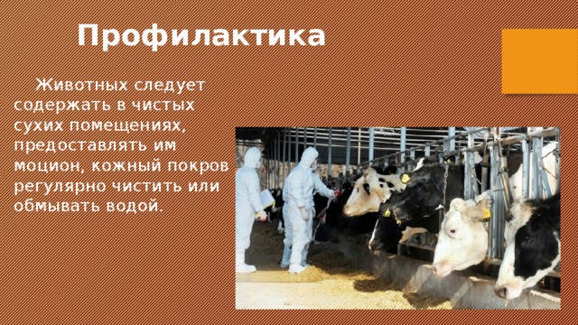 Профилактика животных. Профилактика инвазионных болезней животных. Инвазионные болезни животных презентация. Презентация моцион животных. Группы инвазионных болезней сельскохозяйственных животных.