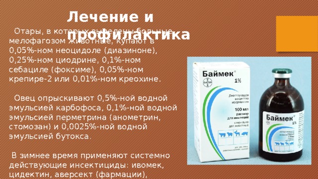 Лечение и профилактика  Отары, в которых выделены больные мелофагозом животные, купают в 0,05%-ном неоцидоле (диазиноне), 0,25%-ном циодрине, 0,1%-ном себациле (фоксиме), 0,05%-ном крепире-2 или 0,01%-ном креохине.  Овец опрыскивают 0,5%-ной водной эмульсией карбофоса, 0,1%-ной водной эмульсией перметрина (анометрин, стомозан) и 0,0025%-ной водной эмульсией бутокса.  В зимнее время применяют системно действующие инсектициды: ивомек, цидектин, аверсект (фармации), фасковерм, пэкт, ципек и др. в тех же дозах, что и при псороптозе овец. 