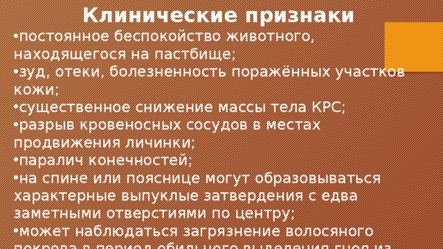  Клинические признаки  постоянное беспокойство животного, находящегося на пастбище; зуд, отеки, болезненность поражённых участков кожи; существенное снижение массы тела КРС; разрыв кровеносных сосудов в местах продвижения личинки; паралич конечностей; на спине или пояснице могут образовываться характерные выпуклые затвердения с едва заметными отверстиями по центру; может наблюдаться загрязнение волосяного покрова в период обильного выделения гноя из желваки. 