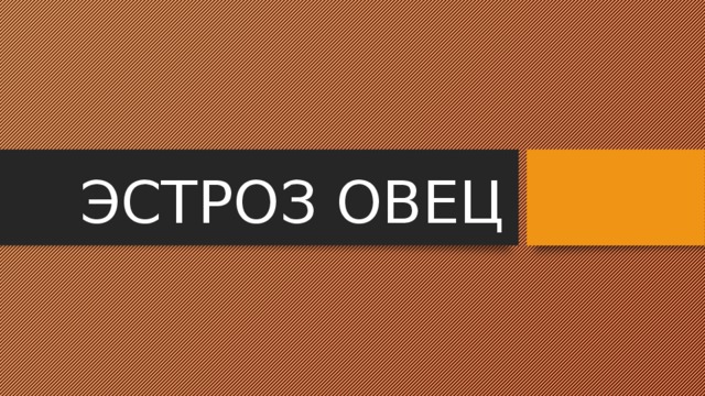 ЭСТРОЗ ОВЕЦ 