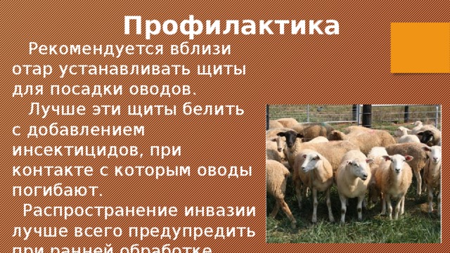  Профилактика  Рекомендуется вблизи отар устанавливать щиты для посадки оводов.  Лучше эти щиты белить с добавлением инсектицидов, при контакте с которым оводы погибают.  Распространение инвазии лучше всего предупредить при ранней обработке животных. 