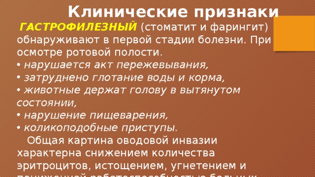 Клинические признаки   ГАСТРОФИЛЕЗНЫЙ  (стоматит и фарингит) обнаруживают в первой стадии болезни. При осмотре ротовой полости.  нарушается акт пережевывания,  затруднено глотание воды и корма,  животные держат голову в вытянутом состоянии,  нарушение пищеварения,  коликоподобные приступы.  Общая картина оводовой инвазии характерна снижением количества эритроцитов, истощением, угнетением и пониженной работоспособностью больных лошадей. 