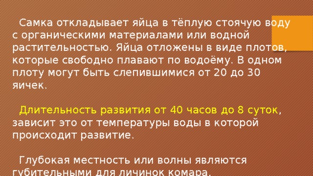  Самка откладывает яйца в тёплую стоячую воду с органическими материалами или водной растительностью. Яйца отложены в виде плотов, которые свободно плавают по водоёму. В одном плоту могут быть слепившимися от 20 до 30 яичек.  Длительность развития от 40 часов до 8 суток , зависит это от температуры воды в которой происходит развитие.  Глубокая местность или волны являются губительными для личинок комара. 