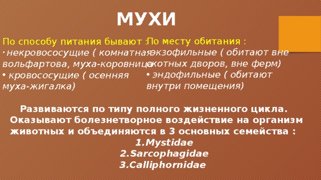 МУХИ По месту обитания :  экзофильные ( обитают вне скотных дворов, вне ферм)  эндофильные ( обитают внутри помещения) По способу питания бывают :  некровососущие ( комнатная вольфартова, муха-коровница  кровососущие ( осенняя муха-жигалка)  Развиваются по типу полного жизненного цикла. Оказывают болезнетворное воздействие на организм животных и объединяются в 3 основных семейства : Mystidae Sarcophagidae Calliphornidae 