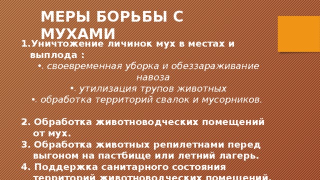 МЕРЫ БОРЬБЫ С МУХАМИ Уничтожение личинок мух в местах и выплода : своевременная уборка и обеззараживание навоза утилизация трупов животных обработка территорий свалок и мусорников. 2. Обработка животноводческих помещений от мух. 3. Обработка животных репилетнами перед выгоном на пастбище или летний лагерь. 4. Поддержка санитарного состояния территорий животноводческих помещений. 