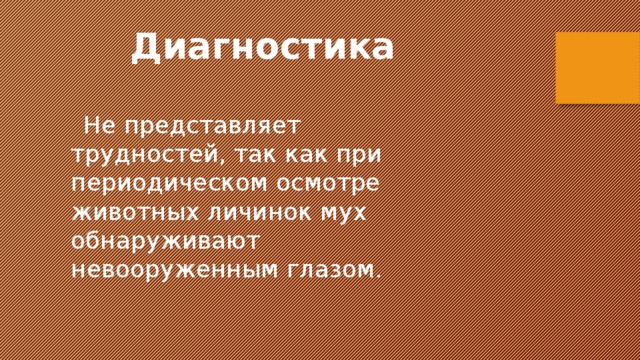 Диагностика     Не представляет трудностей, так как при периодическом осмотре животных личинок мух обнаруживают невооруженным глазом. 