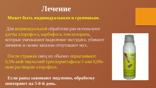 Лечение  Может быть индивидуальным и групповым.  Для индивидуальной  обработки ран используют дусты хлорофоса, карбофоса, гексахлорана , которые уменьшают выделение экссудата, убивают личинок и своим запахом отпугивают мух.  После стрижки овец их обычно опрыскивают 0,5%-ной эмульсией трихлорметафоса-3 или 0,8%-ным раствором хлорофоса.  Если раны заживают медленно, обработку повторяют на 5-8-й день. 