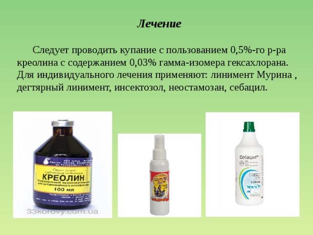 Лечение  Следует проводить купание с пользованием 0,5%-го р-ра креолина с содержанием 0,03% гамма-изомера гексахлорана. Для индивидуального лечения применяют: линимент Мурина , дегтярный линимент, инсектозол, неостамозан, себацил. 