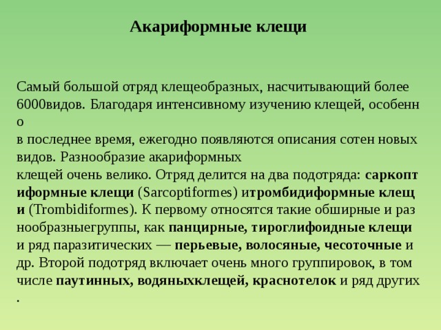   Акариформные клещи    Самый большой отряд клещеобразных, насчитывающий более  6000видов. Благодаря интенсивному изучению клещей, особенно в последнее время, ежегодно появляются описания сотен новыхвидов. Разнообразие акариформных клещей очень велико. Отряд делится на два подотряда:  саркоптиформные клещи  (Sarcoptiformes) и тромбидиформные клещи  (Trombidiformes). К первому относятся такие обширные и разнообразныегруппы, как  панцирные, тироглифоидные клещи  и ряд паразитических —  перьевые, волосяные, чесоточные  и др. Второй подотряд включает очень много группировок, в том числе  паутинных, водяныхклещей, краснотелок  и ряд других.  