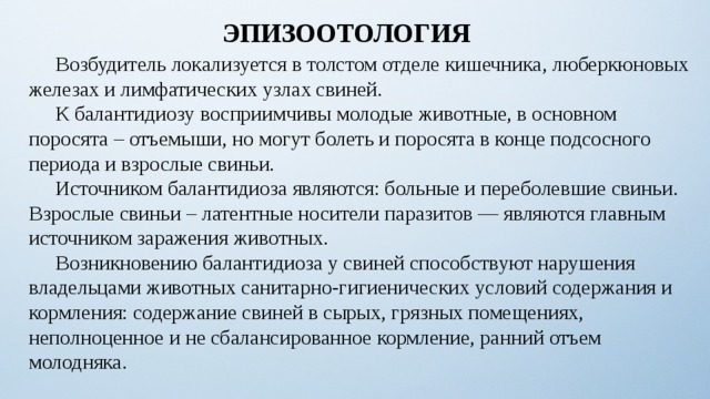 ЭПИЗООТОЛОГИЯ  Возбудитель локализуется в толстом отделе кишечника, люберкюновых железах и лимфатических узлах свиней.  К балантидиозу восприимчивы молодые животные, в основном поросята – отъемыши, но могут болеть и поросята в конце подсосного периода и взрослые свиньи.  Источником балантидиоза являются: больные и переболевшие свиньи.  Взрослые свиньи – латентные носители паразитов — являются главным источником заражения животных.  Возникновению балантидиоза у свиней способствуют нарушения владельцами животных санитарно-гигиенических условий содержания и кормления: содержание свиней в сырых, грязных помещениях, неполноценное и не сбалансированное кормление, ранний отъем молодняка. 