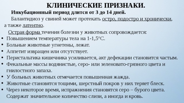 КЛИНИЧЕСКИЕ ПРИЗНАКИ.  Инкубационный период длится от 3 до 14 дней.  Балантидиоз у свиней может протекать остро, подостро и хронически , а также латентно .  Острая форма течения болезни у животных сопровождается: Повышением температуры тела на 1-1,5°С. Больные животные угнетены, лежат. Аппетит извращен или отсутствует. Перистальтика кишечника усиливается, акт дефекации становится частым. Фекальные массы водянистые, серо- или зеленовато-грязного цвета и гнилостного запаха. У больных животных отмечается повышенная жажда. Животные становятся тощими, шерстный покров у них теряет блеск. Через некоторое время, испражнения становятся серо – бурого цвета. Содержат значительное количество слизи, а иногда и кровь. 