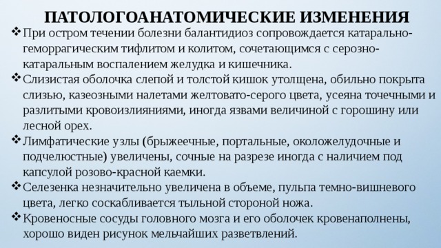 ПАТОЛОГОАНАТОМИЧЕСКИЕ ИЗМЕНЕНИЯ При остром течении болезни балантидиоз сопровождается катарально-геморрагическим тифлитом и колитом, сочетающимся с серозно-катаральным воспалением желудка и кишечника. Слизистая оболочка слепой и толстой кишок утолщена, обильно покрыта слизью, казеозными налетами желтовато-серого цвета, усеяна точечными и разлитыми кровоизлияниями, иногда язвами величиной с горошину или лесной орех. Лимфатические узлы (брыжеечные, портальные, околожелудочные и подчелюстные) увеличены, сочные на разрезе иногда с наличием под капсулой розово-красной каемки. Селезенка незначительно увеличена в объеме, пульпа темно-вишневого цвета, легко соскабливается тыльной стороной ножа. Кровеносные сосуды головного мозга и его оболочек кровенаполнены, хорошо виден рисунок мельчайших разветвлений. 