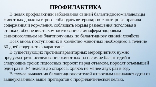 ПРОФИЛАКТИКА  В целях профилактики заболевания свиней балантидиозом владельцы животных должны строго соблюдать ветеринарно-санитарные правила содержания и кормления, соблюдать нормы размещения поголовья в станках, обеспечивать комплектование свиноферм здоровым свинопоголовьем из благополучных по балантидиозу свиней хозяйств.  Всех вновь поступающих в хозяйство животных необходимо в течение 30 дней содержать в карантине.  В существующих противопаразитарных мероприятиях нужно предусмотреть исследование животных на наличие балантидий в следующие сроки: подсосных поросят перед отъемом, поросят отъемышей один раз в 3-4 недели до опороса, хряков не менее двух раз в год.  В случае выявления балантидионосителей животным назначают один из вышеуказанных выше препаратов с профилактической целью. 