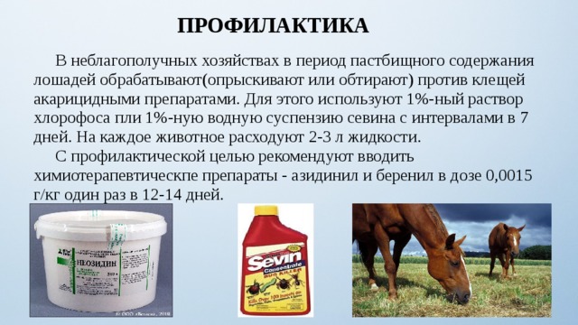 ПРОФИЛАКТИКА  В неблагополучных хозяйствах в период пастбищного содержания лошадей обрабатывают(опрыскивают или обтирают) против клещей акарицидными препаратами. Для этого используют 1%-ный раствор хлорофоса пли 1%-ную водную суспензию севина с интервалами в 7 дней. На каждое животное расходуют 2-3 л жидкости.  С профилактической целью рекомендуют вводить химиотерапевтическпе препараты - азидинил и беренил в дозе 0,0015 г/кг один раз в 12-14 дней. 8 