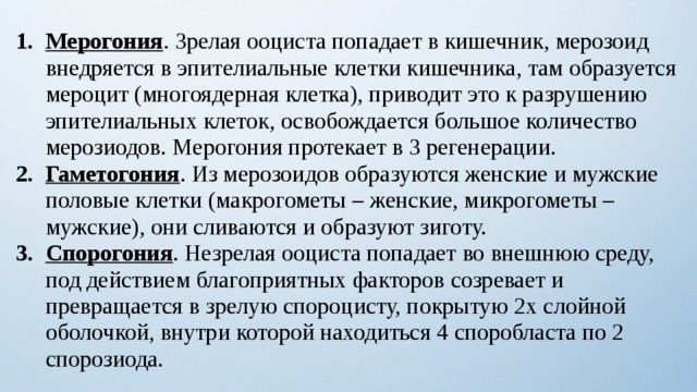 Мерогония . Зрелая ооциста попадает в кишечник, мерозоид внедряется в эпителиальные клетки кишечника, там образуется мероцит (многоядерная клетка), приводит это к разрушению эпителиальных клеток, освобождается большое количество мерозиодов. Мерогония протекает в 3 регенерации. Гаметогония . Из мерозоидов образуются женские и мужские половые клетки (макрогометы – женские, микрогометы – мужские), они сливаются и образуют зиготу. Спорогония . Незрелая ооциста попадает во внешнюю среду, под действием благоприятных факторов созревает и превращается в зрелую спороцисту, покрытую 2х слойной оболочкой, внутри которой находиться 4 споробласта по 2 спорозиода. 