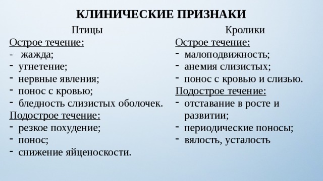 КЛИНИЧЕСКИЕ ПРИЗНАКИ Птицы Кролики Острое течение: Острое течение: - жажда; малоподвижность; анемия слизистых; понос с кровью и слизью. угнетение; нервные явления; понос с кровью; бледность слизистых оболочек. Подострое течение: Подострое течение: отставание в росте и развитии; периодические поносы; вялость, усталость резкое похудение; понос; снижение яйценоскости. 