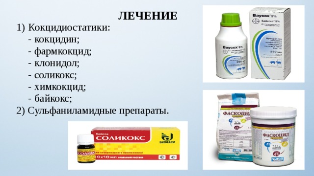 ЛЕЧЕНИЕ Кокцидиостатики:  - кокцидин;  - фармкокцид;  - клонидол;  - соликокс;  - химкокцид;  - байкокс; 2) Сульфаниламидные препараты. 