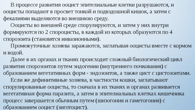  В процессе развития ооцист эпителиальные клетки разрушаются, и ооцисты попадают в просвет тонкой и подвздошной кишок, а затем с фекалиями выделяются во внешнюю среду.  Ооцисты во внешней среде спорулируются, и затем у них внутри формируются по 2 спороцисты, в каждой из которых образуются по 4 спорозоита (становятся инвазионными).  Промежуточные хозяева заражаются, заглатывая ооцисты вместе с кормом и водой.  Далее в их органах и тканях происходит сложный биологический цикл развития спорозоитов путем эндогении (внутреннего почкования) с образованием вегетативных форм - эндозоитов, а также цист с цистозоитами.  Если же дефинитивные хозяева, в частности кошки, заглатывают спорулированные ооцисты, то сначала в их тканях и органах развивается вегетативная форма паразита, а затем в эпителиальных клетках кишечника процесс завершается обычным путем (шизогония и гаметогония) с образованием ооцист (зиготоцист). 