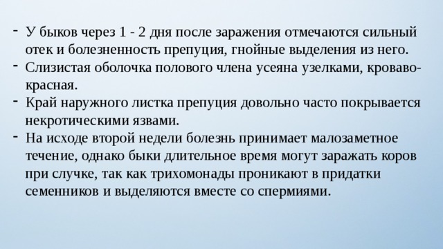 У быков через 1 - 2 дня после заражения отмечаются сильный отек и болезненность препуция, гнойные выделения из него. Слизистая оболочка полового члена усеяна узелками, кроваво-красная. Край наружного листка препуция довольно часто покрывается некротическими язвами. На исходе второй недели болезнь принимает малозаметное течение, однако быки длительное время могут заражать коров при случке, так как трихомонады проникают в придатки семенников и выделяются вместе со спермиями. 