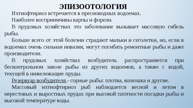 ЭПИЗООТОЛОГИЯ  Ихтиофтириоз встречается в пресноводных водоемах.  Наиболее восприимчивы карпы и форели.  В прудовых хозяйствах это заболевание вызывает массовую гибель рыбы.  Больше всего от этой болезни страдают мальки и сеголетки, но, если в водоемах очень сильная инвазия, могут погибать ремонтные рыбы и даже производители.  В прудовых хозяйствах возбудитель распространяется при бесконтрольном завозе рыбы из других водоемов, а также с водой, текущей в нижележащие пруды.  Резервуар возбудителя - сорные рыбы: плотва, колюшка и другие.  Массовый ихтиофтириоз рыб наблюдается весной и летом в нерестовых и выростных прудах при высокой плотности посадки рыбы и высокой температуре воды. 